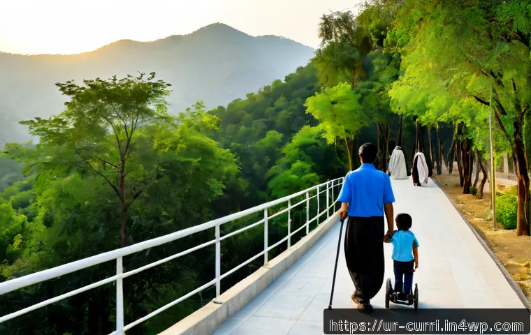 숲교육과 장애인 접근성 관련 이미지 1